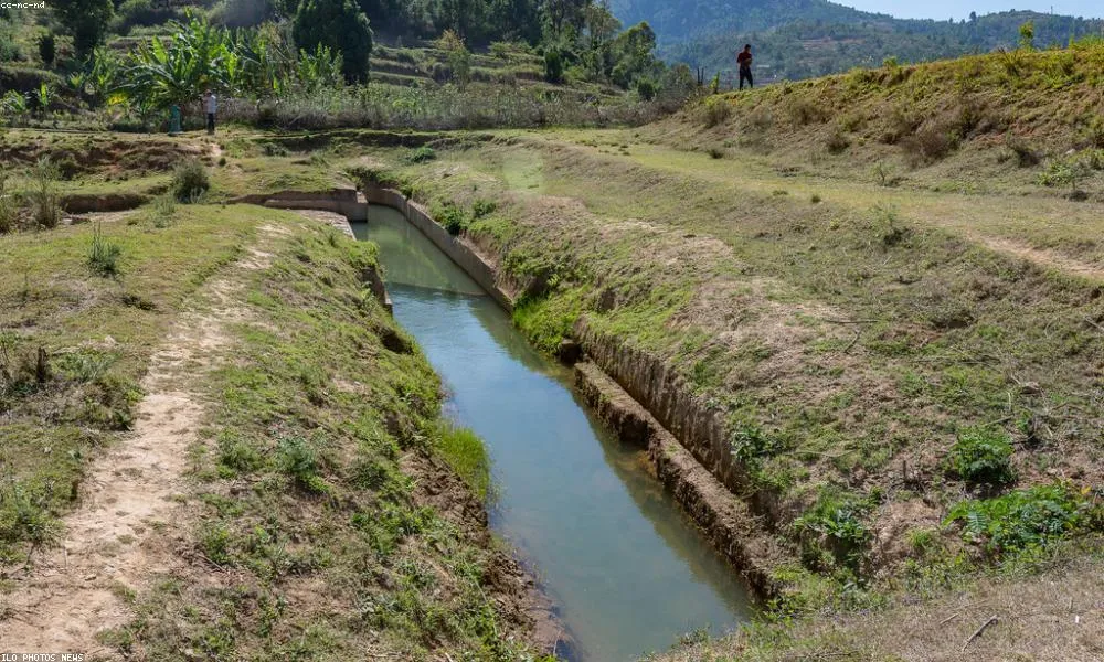 Saluran Air Mampet di Rumah? Ini Panduan Lengkap Penyebab dan Solusinya